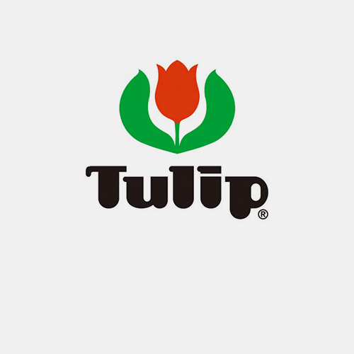Tulip