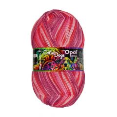 Opal Cats & Dogs 4-ply 10x100g