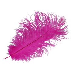 Decorative feathers ca. 22cm - 10pcs - 749