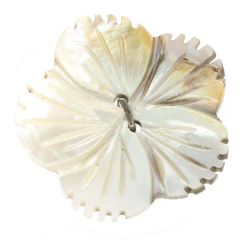 Button mother-of-pearl flower 40 - 40pcs