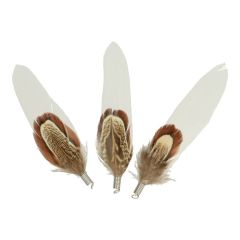 Pheasant-goose feathers with ring 8-10cm - 3x25pcs