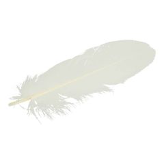Loose feathers 15-20cm - 5x10pcs
