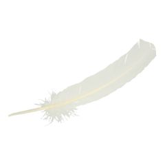 Loose feathers 25-30cm - 5x3pcs